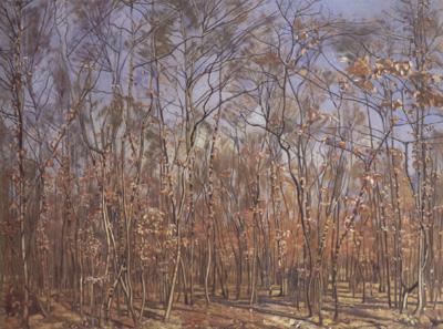 Ferdinand Hodler The Beech Forest (nn02) oil painting picture